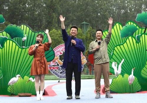 曲师大校友爆料视频最新,揭秘校园内幕，独家视频曝光！